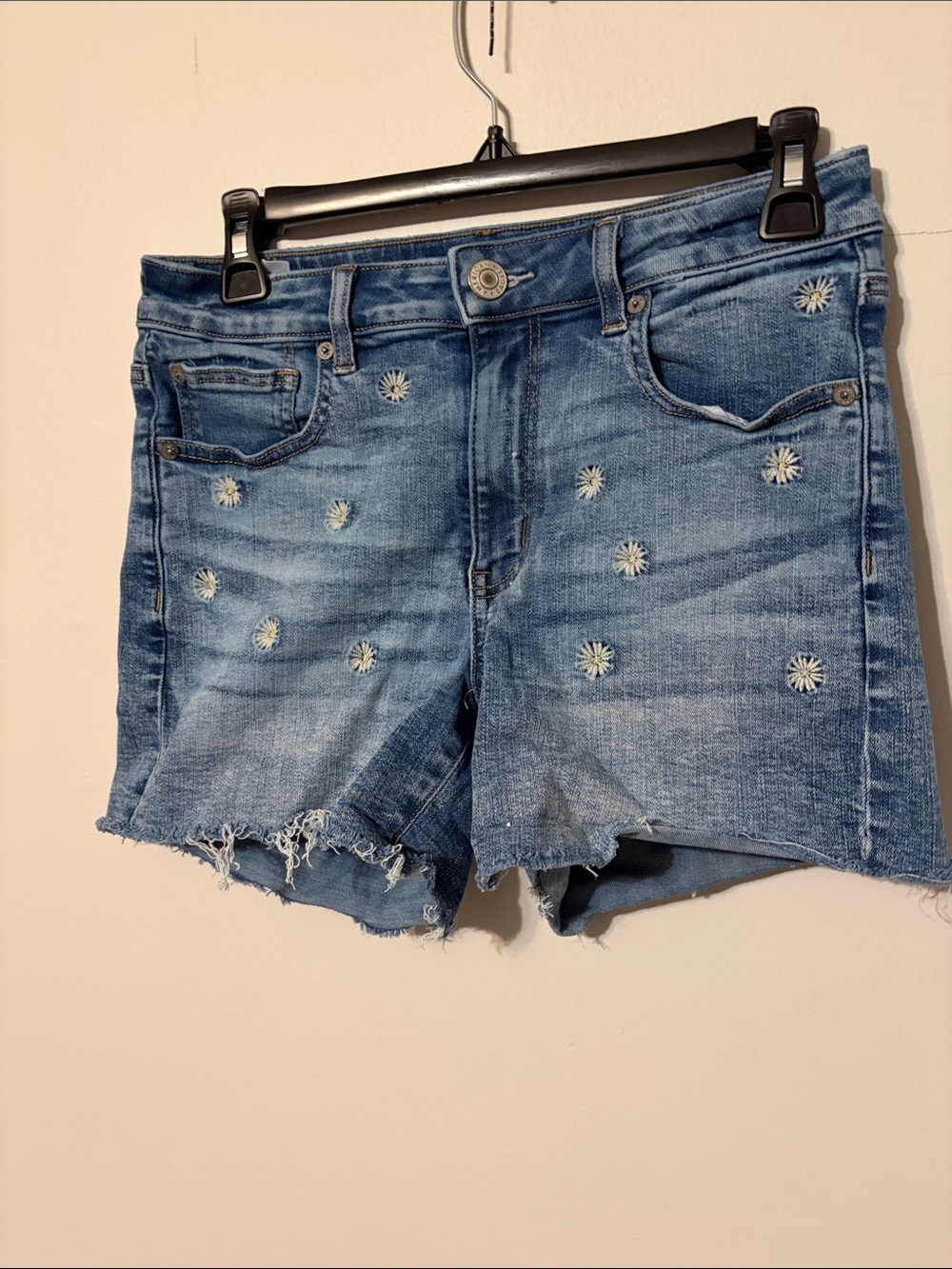 American Eagle Outfitters Blue Daisy Embroidered Denim Shorts size: 6.